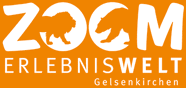 zoom_logo_2842